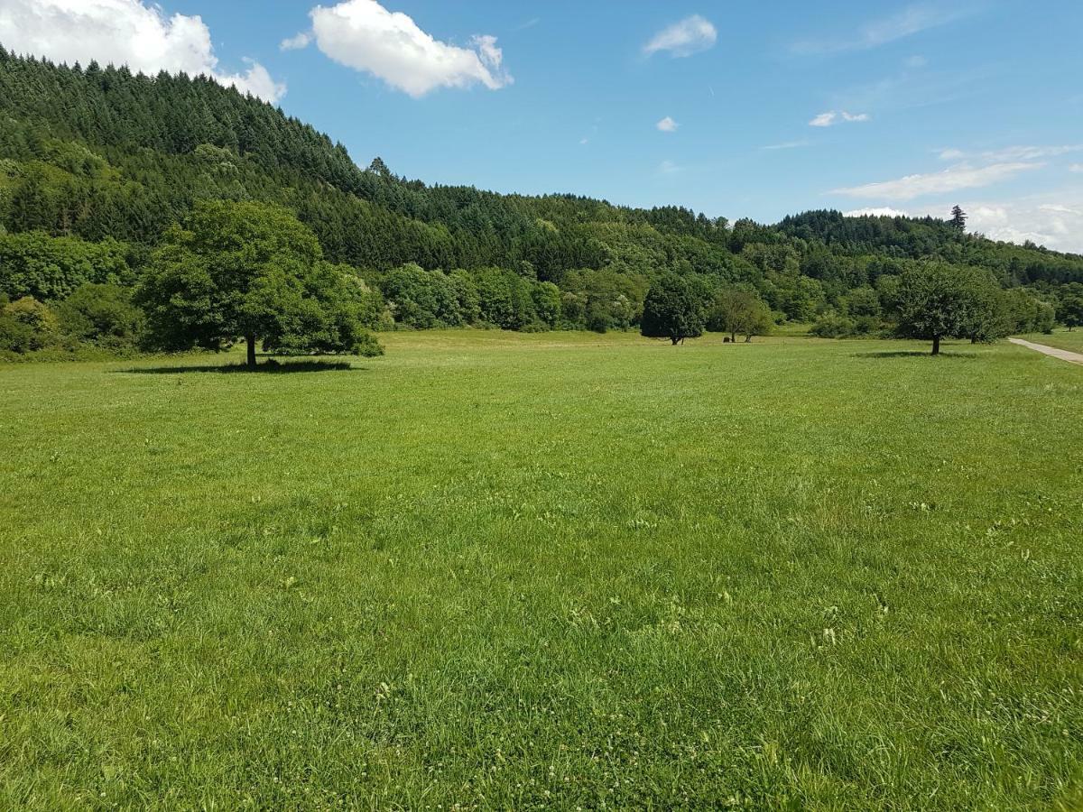 Apartamento Storchennest Bad Säckingen Exterior foto
